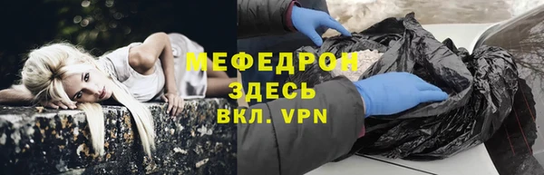 гидра Няндома