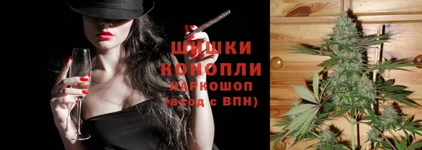 мдпв Костерёво