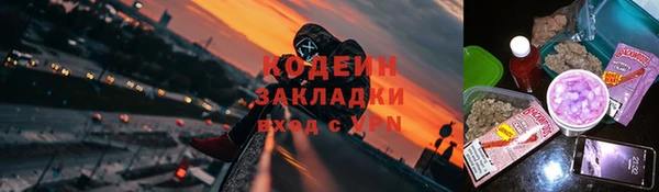 ешки Корсаков