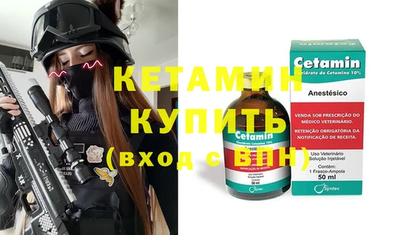 гидра Няндома