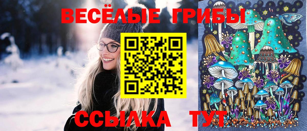 Корсаков  Псилоцибиновые грибы Psilocybe  Вход с VPN 